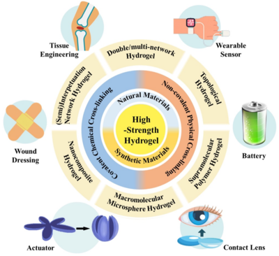 西工大黃河源、王文智/西安交大趙鑫 Nano Res.:高強度水凝膠的制備策略、增強機制與未來挑戰