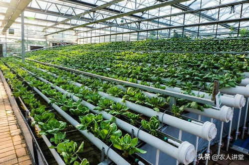 微生物肥料的5個常見坑人路數，千萬別踩空——生物質能技術服務指南