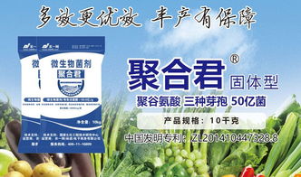 5個層面近30個標準，助推微生物肥料產業快速發展