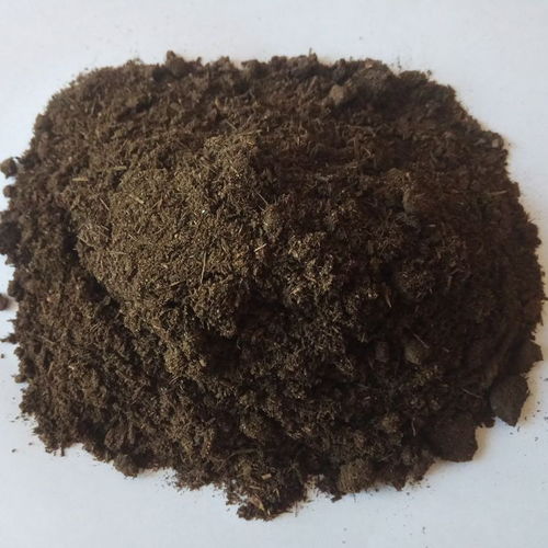 葡萄施發酵牛糞有機肥的合理應用與生物有機肥料研發