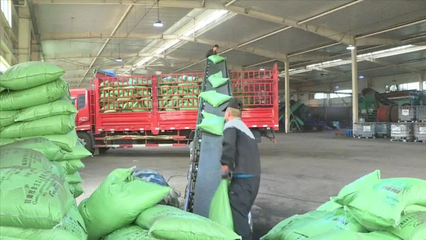 科技賦能綠色農(nóng)業(yè) 定西市生物有機(jī)肥料研發(fā)助力農(nóng)業(yè)減肥增效