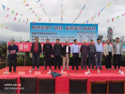 四川田寶生物 建立有機肥料化驗中心，以科技創(chuàng)新驅(qū)動農(nóng)業(yè)綠色未來