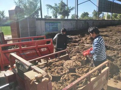 順豐洱海環(huán)保股份榮膺“云南省百戶優(yōu)強(qiáng)民營企業(yè)”稱號，生物質(zhì)能技術(shù)服務(wù)引領(lǐng)綠色新篇章