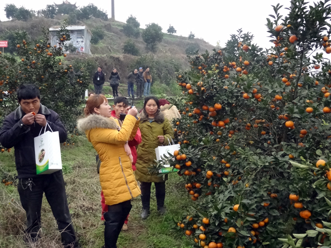 重慶拓陽科技ldquo;生物有機肥使用交流會&rdquo;在重慶市長壽區(qū)順利召開